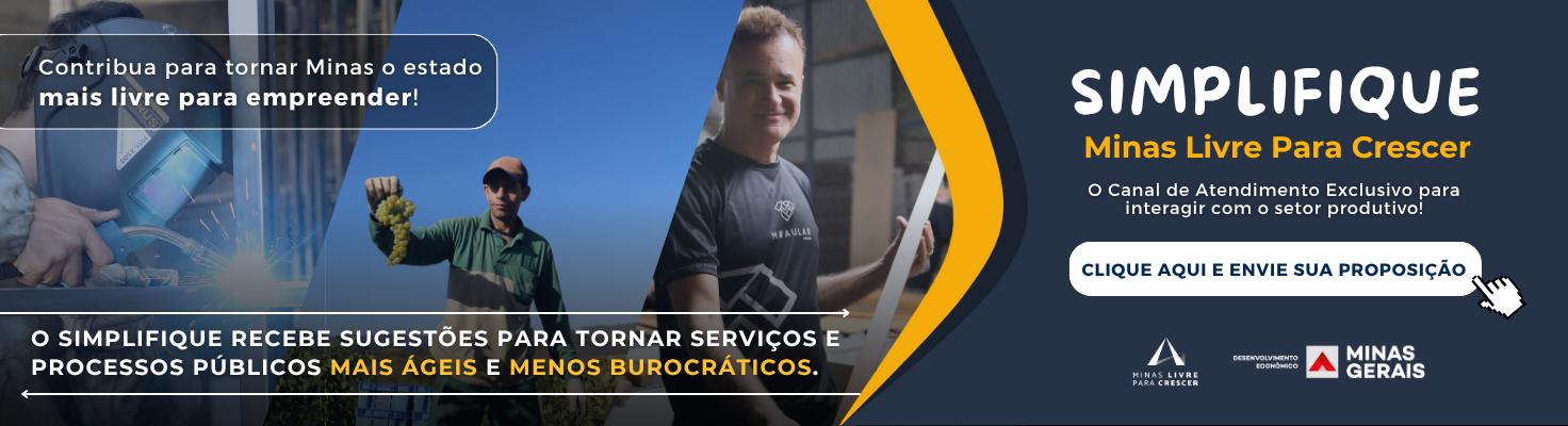 Simplifique Minas Livre