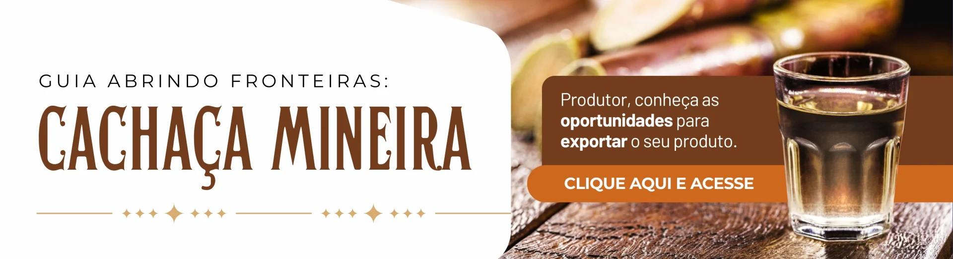 Guia Cachaça